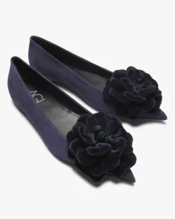 Fergy Rose Ballerina